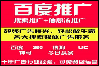 竞价广告赚钱案例：从新手到专家